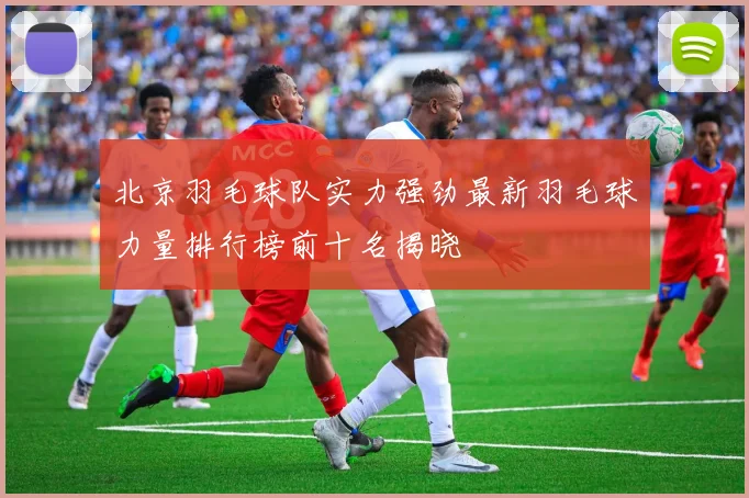 北京羽毛球队实力强劲最新羽毛球力量排行榜前十名揭晓