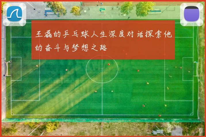 王磊的乒乓球人生深度对话探索他的奋斗与梦想之路