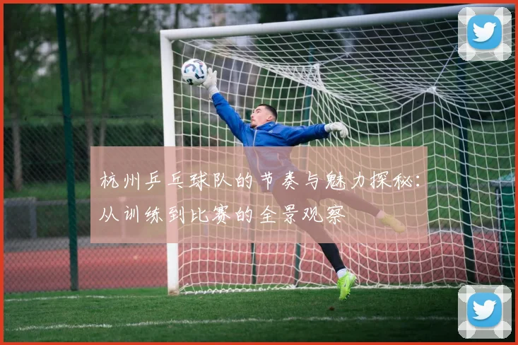 杭州乒乓球队的节奏与魅力探秘：从训练到比赛的全景观察