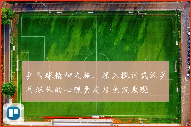 乒乓球精神之旅：深入探讨武汉乒乓球队的心理素质与竞技表现