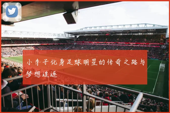小李子化身足球明星的传奇之路与梦想追逐