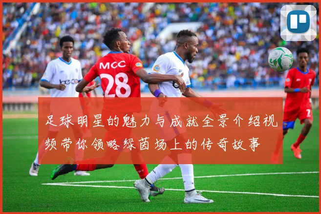 足球明星的魅力与成就全景介绍视频带你领略绿茵场上的传奇故事