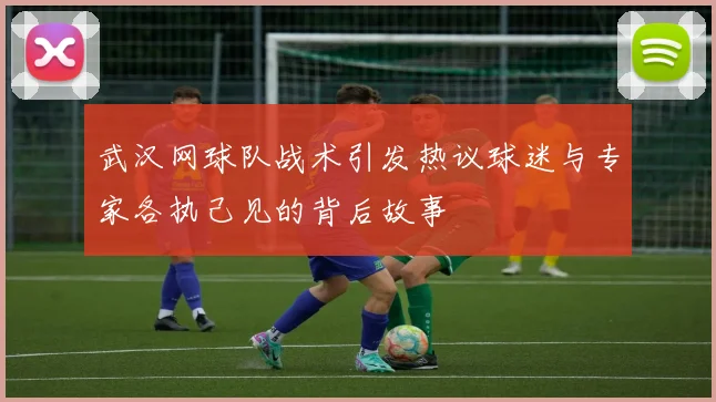 武汉网球队战术引发热议球迷与专家各执己见的背后故事