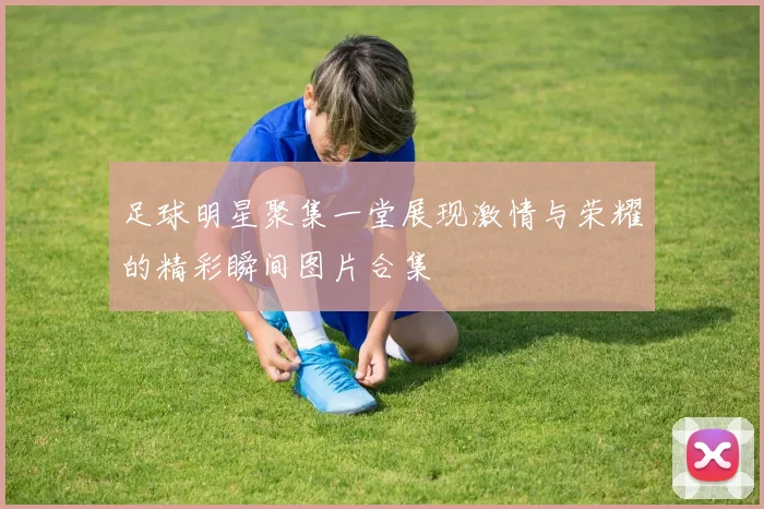 足球明星聚集一堂展现激情与荣耀的精彩瞬间图片合集