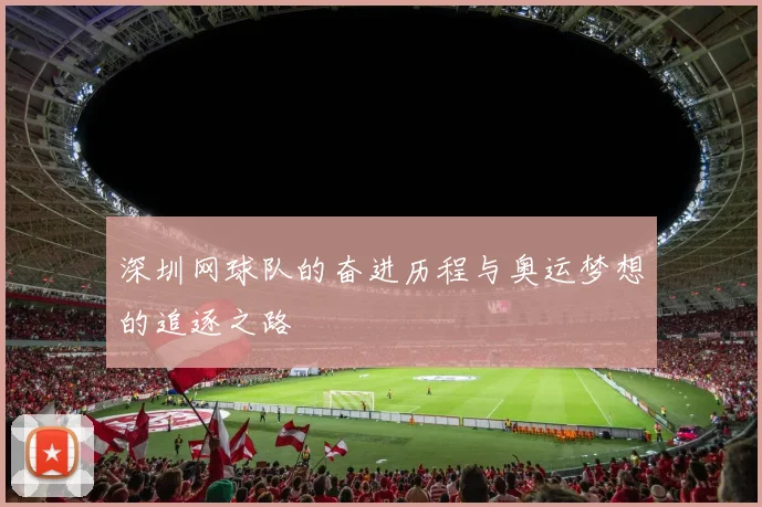 深圳网球队的奋进历程与奥运梦想的追逐之路